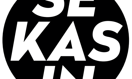 Ylen Sekasin-kampanja laittoi ylläpidon tositestiin - Seravo