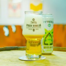 Beer from the Ashes – The Pyynikin Story