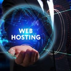 Top 5 Reasons to Use WP Web Hosting for E-Commerce